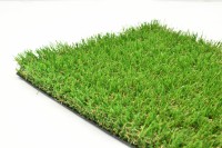 Hillrose