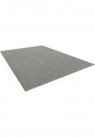 Delight grey